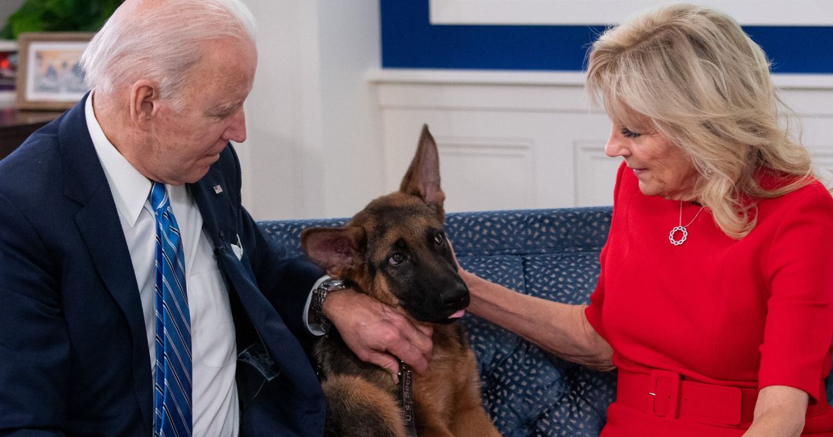 Biden’s dog ousted from White House due to more severe attacks than initially reported.
