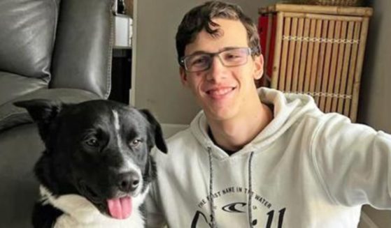 Gabriel Tanner, 17, unexpectedly had a stroke on Aug. 26. Axel the border collie alerted the family to the emergency.