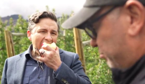 Pierre Poilievre, left, the leader of Canada's Conservative Party and the largest competition for Prime Minister Justin Trudeau, was recently interviewed by a Don Urquhart, right, and he gave a master class as he snacked on an apple.