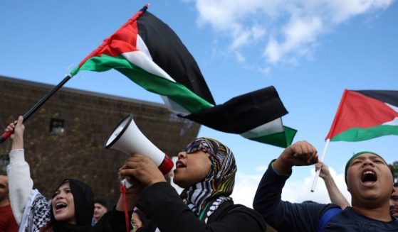 Demonstrators wave Palestinian flags during an anti-Israel rally in Washington on Saturday.