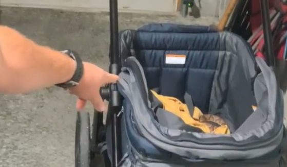 Autumn and Tyler Maidlow found a copperhead snake in their baby's stroller in Greenbrier, Tennessee, last month. Thankfully, no one was harmed when the snake attempted to strike.