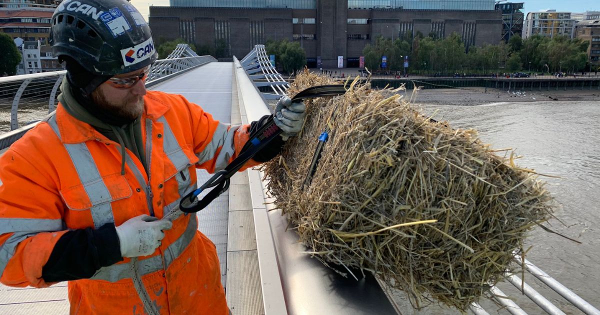 A bundle of straw is hung from the Millennium Bridge, spanning London's Thames River.