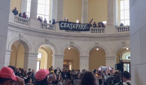 Protesters took over the Cannon House Office Building on Wednesday in Washington, D.C.