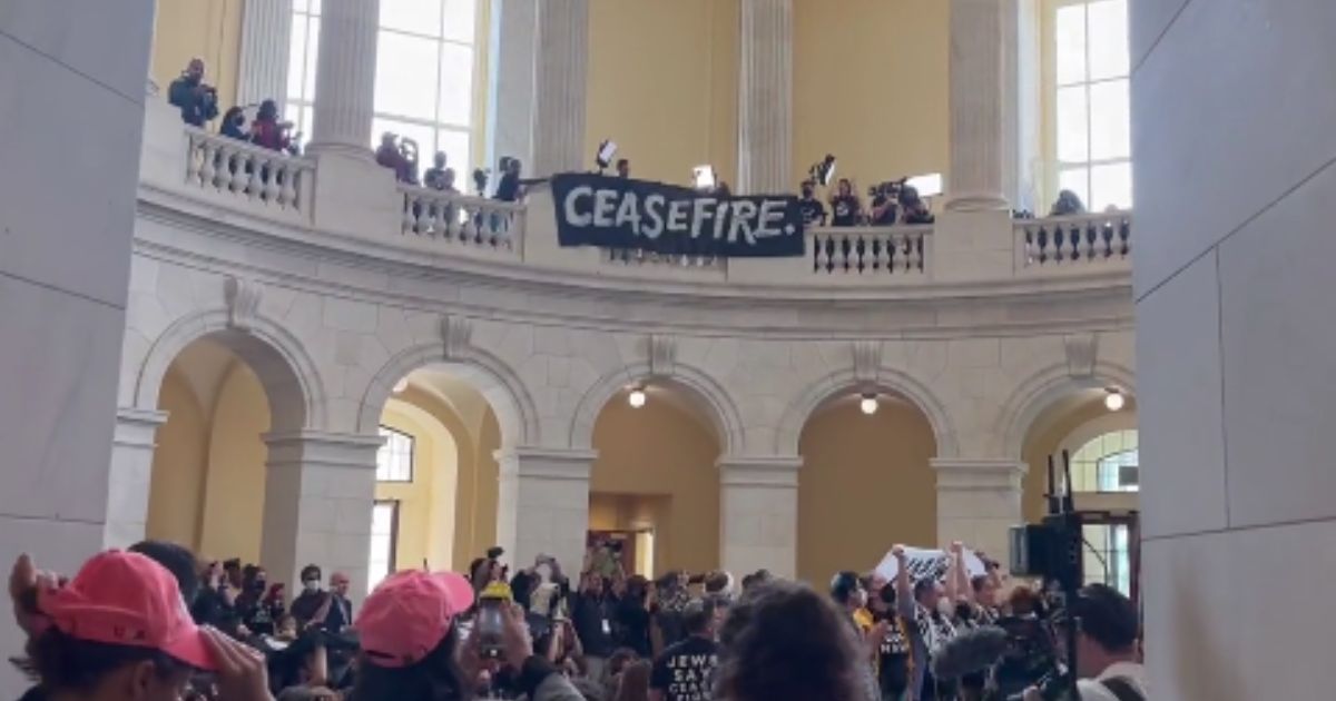 Protesters took over the Cannon House Office Building on Wednesday in Washington, D.C.