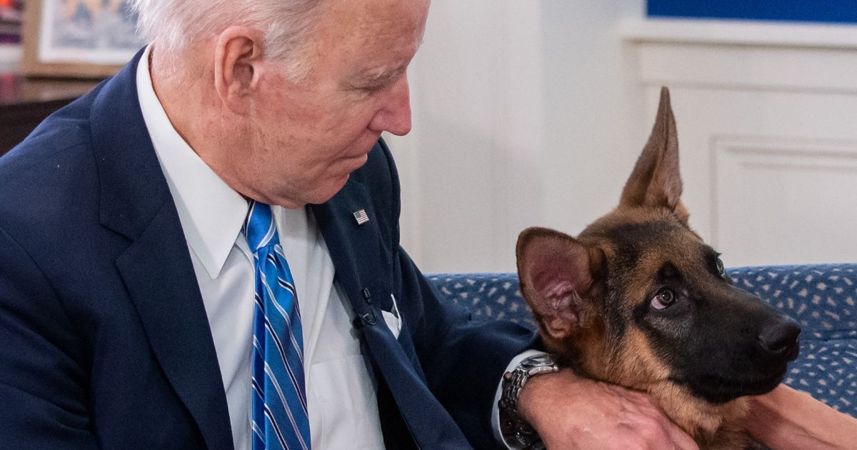 President Joe Biden pets his new dog Commander as he speaks virtually with military service members to thank them for their service and wish them a Merry Christmas, from the South Court Auditorium of the White House in Washington, D.C., on Dec. 25, 2021.