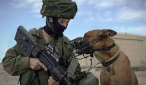 An Israeli Defense Forces soldier with a military dog.