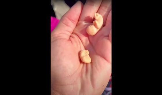 This YouTube screen shot shows plastic models of preborn babies after they had been spat out by a pro-abortion protester.