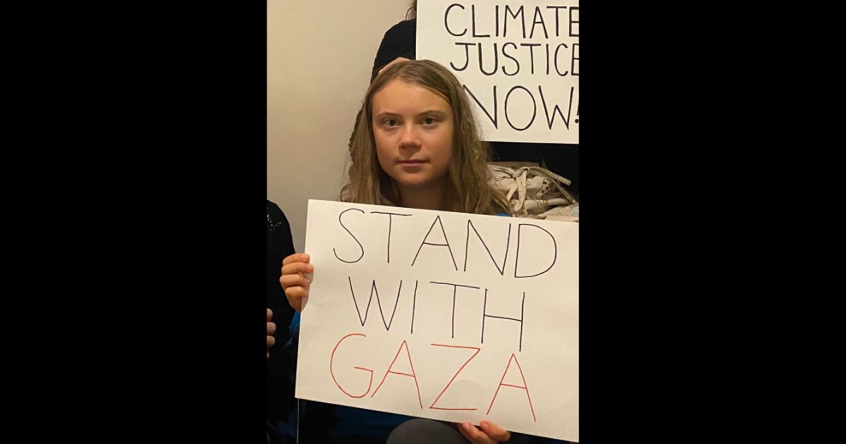 This Twitter screen shot shows climate activist Greta Thunberg holding a pro-Palestinian sign in a social media post.