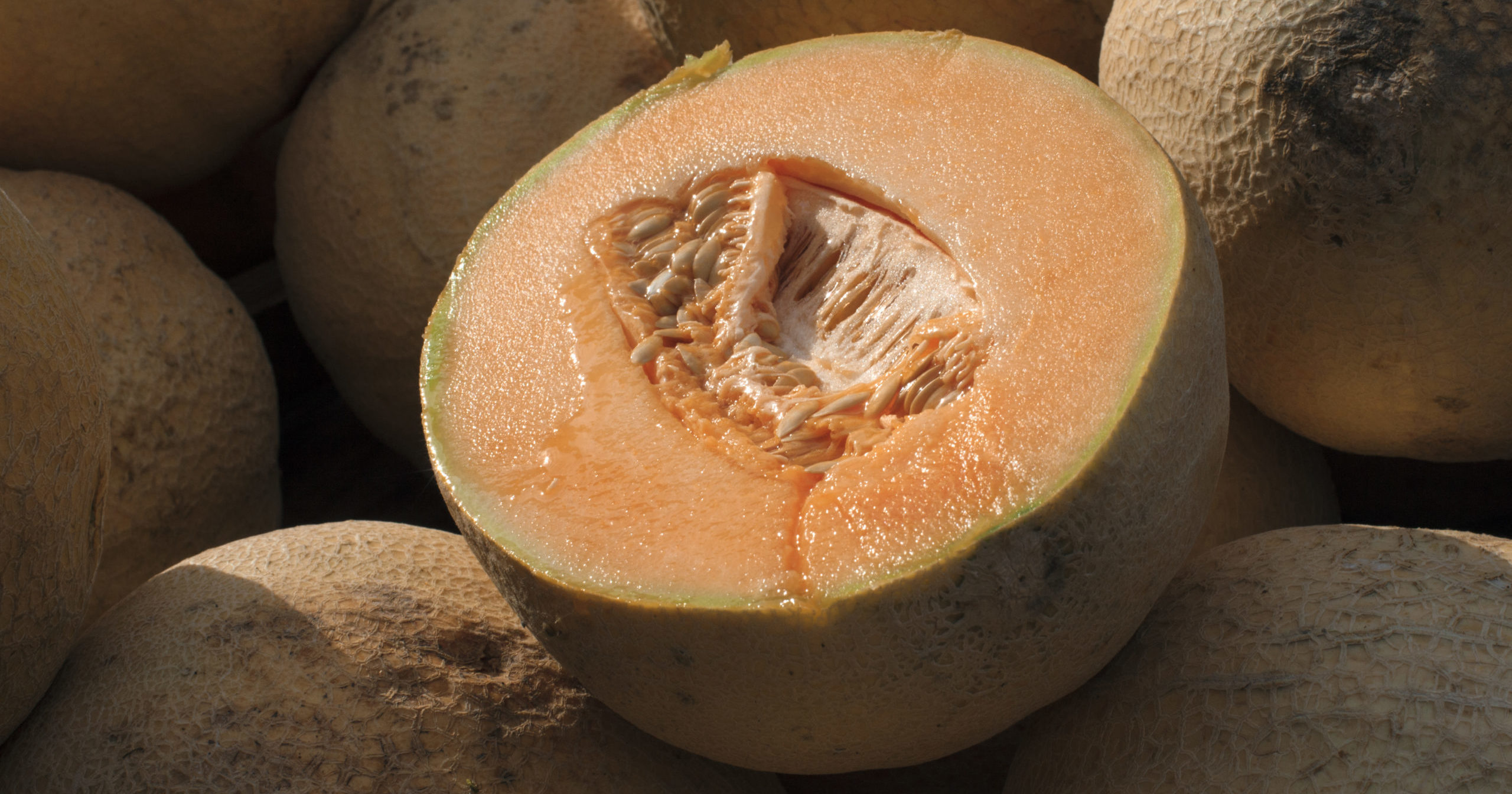 Cantaloupes are displayed for sale in Virginia on July 28, 2017.