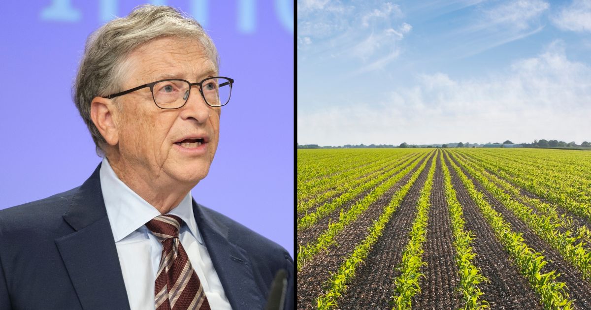 Bill Gates delivers a speech on Oct. 11 in Brussels. Crops grow in the stock image on the right.