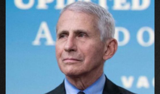 Dr. Anthony Fauci, former Director of the National Institute of Allergy and Infectious Diseases, is seen in a file photo from December 2022.