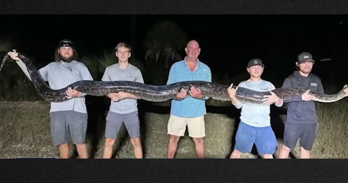 The creature weighed nearly 200 pounds, and it took all five men to subdue it.