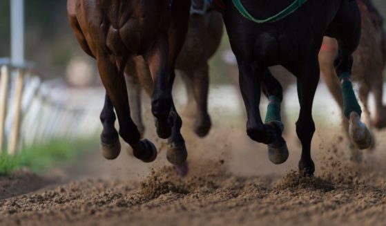 This stock image shows horses racing around a track. A Pennsylvania man was arrested for allegedly setting a fire at Tioga Downs racetrack, killing 30 racehorses.