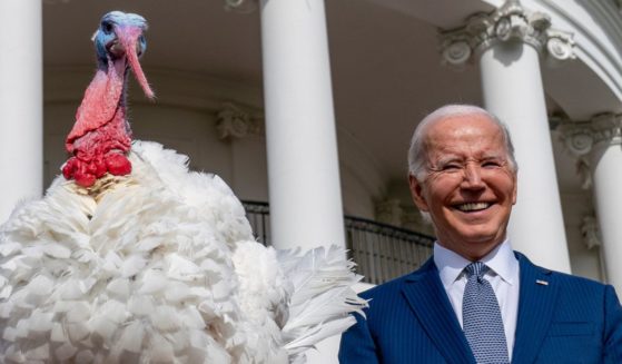 Joe Biden stands next to Liberty, one of the two national Thanksgiving turkeys
