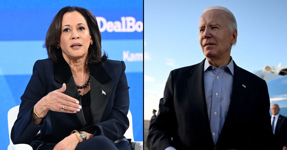 Kamala Harris vows to address any concerns about Joe Biden if needed