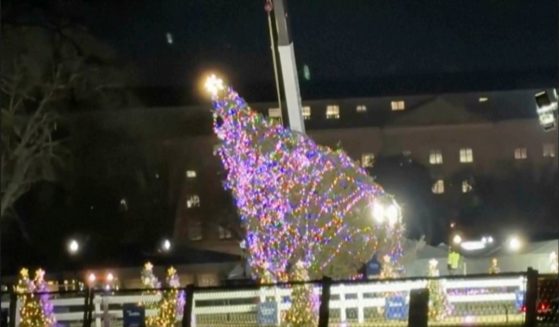 In this image made from video, the National Christmas Tree hangs from a crane in front of the White House as a crew works to lift it back up after it fell, Tuesday, in high winter winds.
