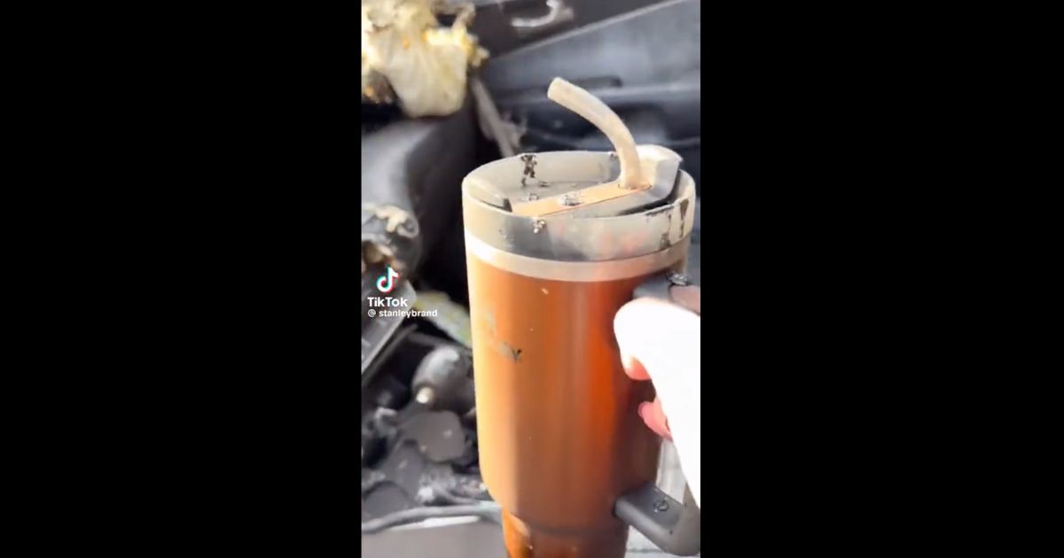 How does a Stanley tumbler hold up in a fire? One TikTok user, unfortunately, found out and shared the results in a now-viral video.