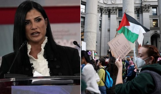 Conservative author and talk show host Dana Loesch, pictured in a 2018 file photo, used a one-word social media post to destroy supporters of Palestinans like those who attended a rally on Nov. 7, right.