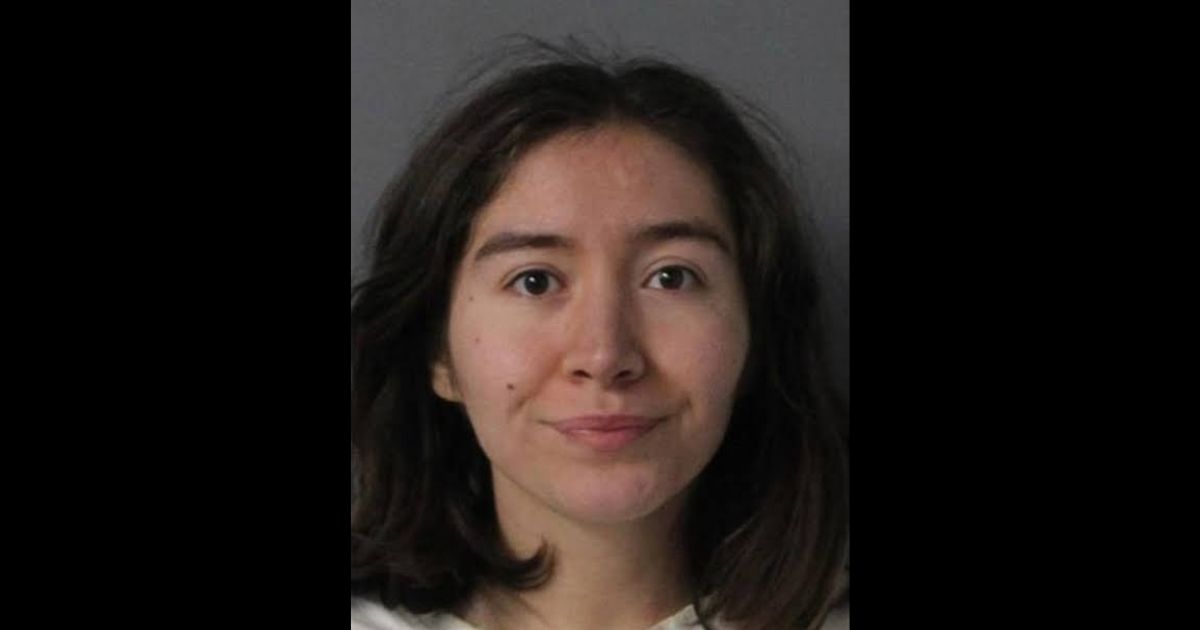 Former Disney actress Bridget Shergalis was arrested on charges related to vandalism.