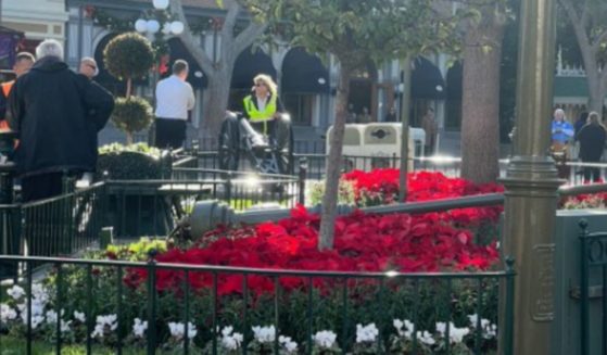 A lamp post fell over at Disneyland injuring a few individuals.