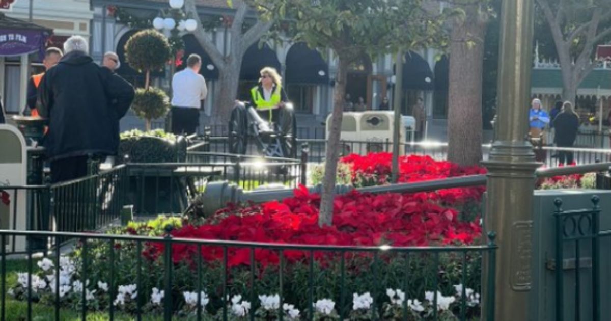 A lamp post fell over at Disneyland injuring a few individuals.
