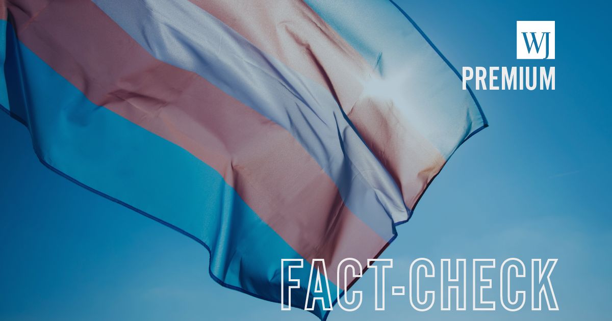 A transgender flag flies in this stock image.