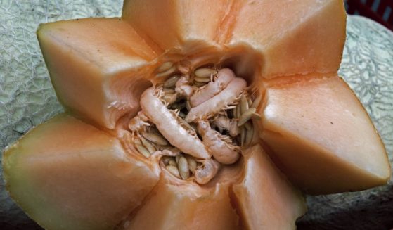 A cut cantaloupe is seen for sale at a local Farmers Market in Annandale, Virginia, on Aug. 8, 2013.