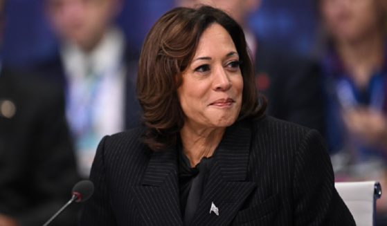 Vice President Kamala Harris, pictured at the UK Artificial Intelligence in London on Nov. 2.