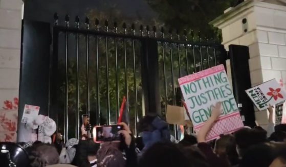 This video clip shows pro-Palestinian protesters vandalizing a gate surrounding the White House.
