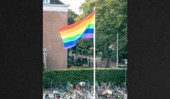 A "pride flag" flies above a school in The Netherlands.