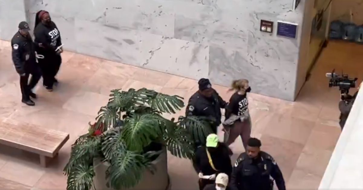 Pro-Palestinian protesters are led out of the Senate office building's lobby with their hand zip-tied.