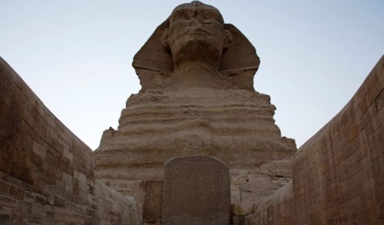 The Great Sphinx stands adjacent to the Great Pyramids of Giza following the completion of restoration work in preparation for the reopening of the courtyard around its base, in Giza, Egypt, on Nov. 9, 2014.