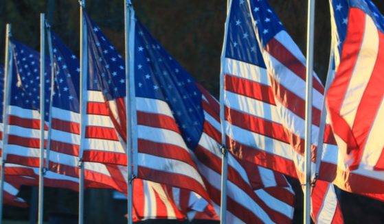 A row of American flags.