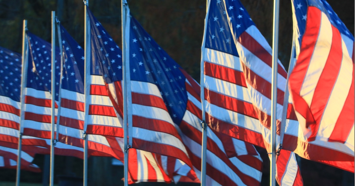 A row of American flags.
