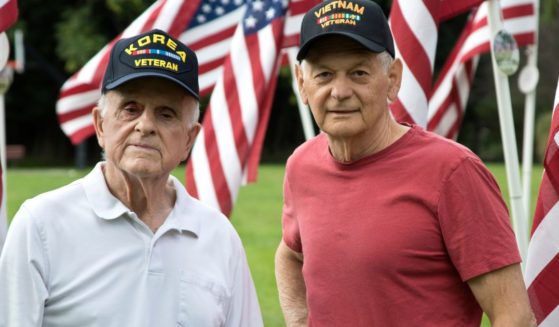 Veterans stand in front of American flags in this stock image.