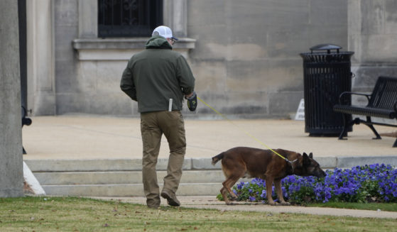 An ordinance sniffing dog patrols the grounds of the Mississippi State Capitol in Jackson, Mississippi, on Wednesday, following a bomb threat. At least six state Capitols were evacuated on Wednesday as the result of threats.