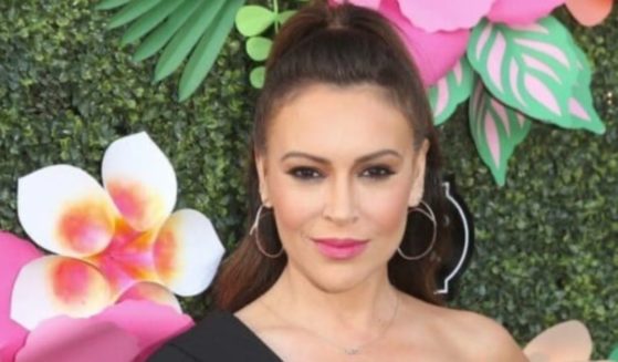 Alyssa Milano generated a strong reaction to her social media post asking for donations for her son's baseball team.