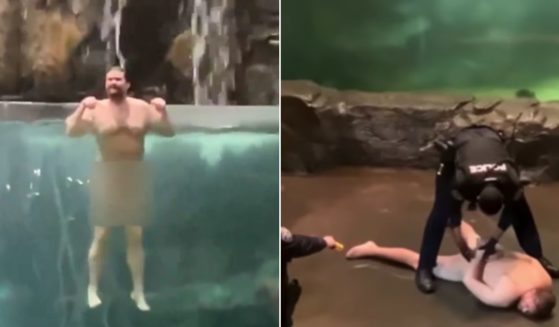 A police officer, right, handcuffs the man who had been taunting officials, left, while skinny dipping in a Bass Pro Shops aquarium in Leeds, Alabama.