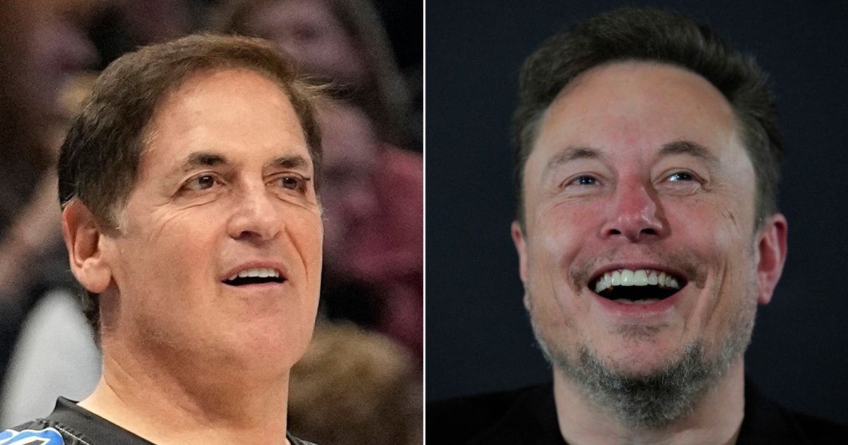 Elon Musk, right, had a quick comeback for Mark Cuban's lengthy description of diversity, equity and inclusion practices.