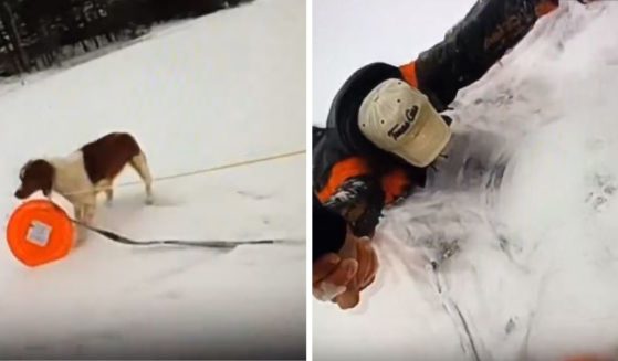 A man who fell through the ice on a frozen Michigan lake Thursday was rescued after a quick-thinking police officer used the stranded man's dog to get rescue equipment to him.