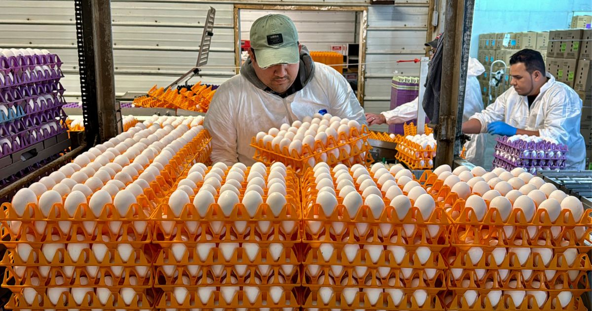 A worker moves crates of eggs at the Sunrise Farms processing plant in Petaluma, California, on Jan. 11. The area has seen an outbreak of avian flu in recent weeks.