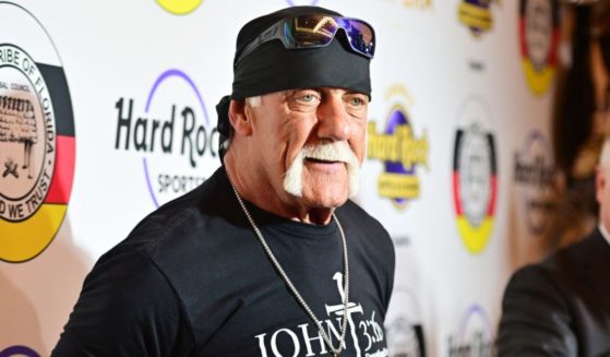 Former WWF star Hulk Hogan was hailed as a hero for efforts to help a car accident victim in Tampa, Florida.