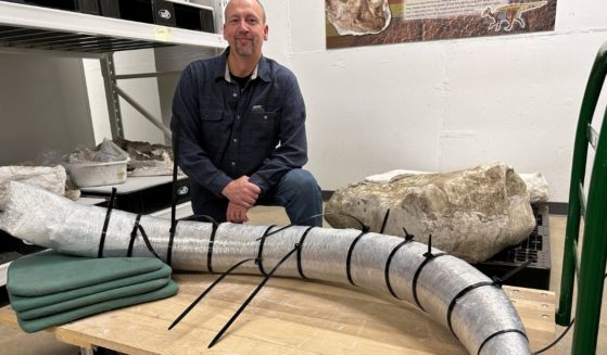 North Dakota Geologic Survey paleontologist Jeff Person sits behind a 7-foot mammoth tusk on Dec. 19, at the Geologic Survey office in Bismarck, North Dakota.