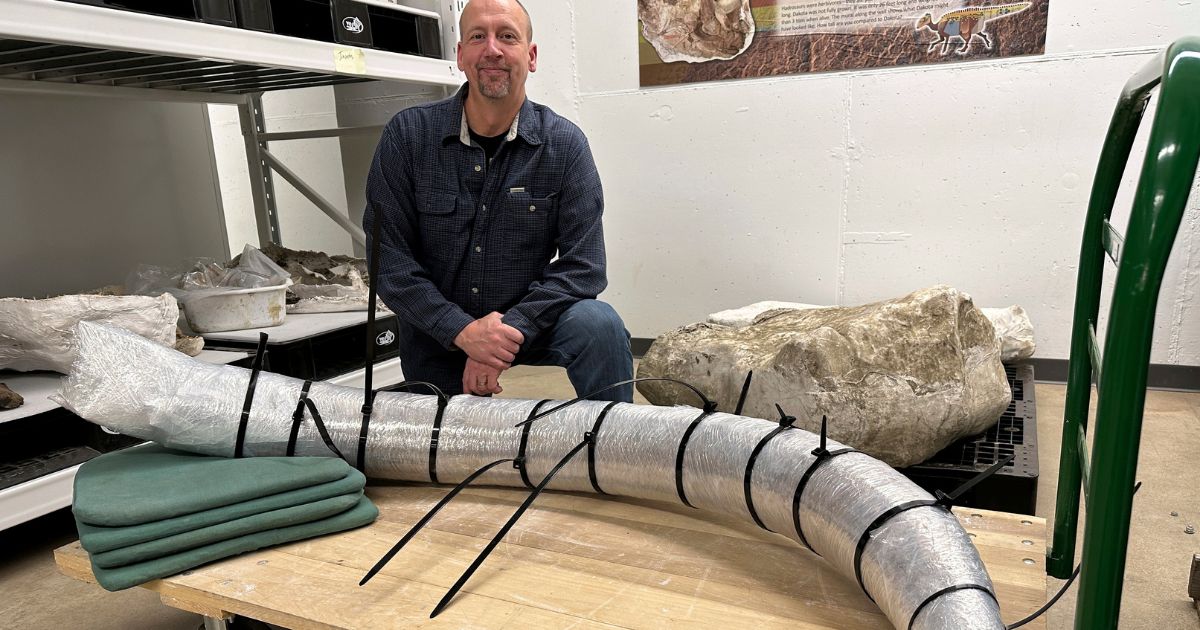 North Dakota Geologic Survey paleontologist Jeff Person sits behind a 7-foot mammoth tusk on Dec. 19, at the Geologic Survey office in Bismarck, North Dakota.