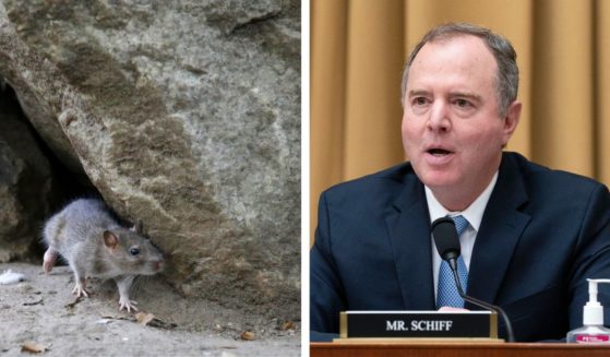 Congressman Adam Schiff is co-sponsoring a bill introduced by Congressman Ted Lieu to ban the use of glue traps to catch rodents. Both congressmen are Democrats from California.