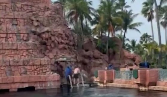 Another visitor filmed the commotion as the boy was pulled from the shark tank.