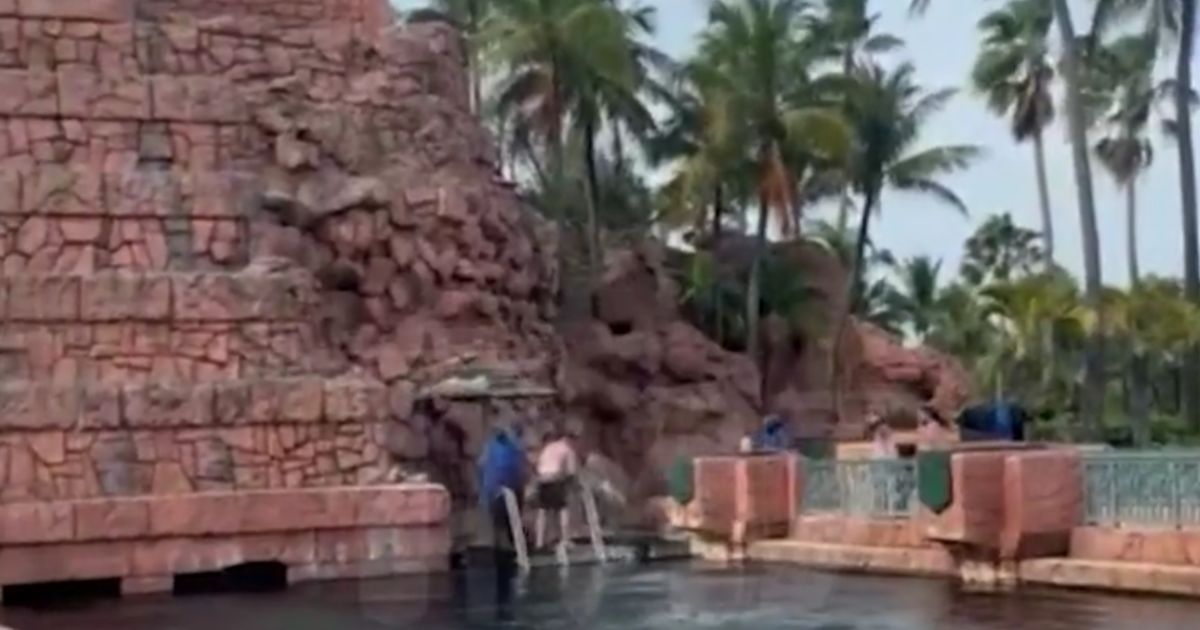 Another visitor filmed the commotion as the boy was pulled from the shark tank.