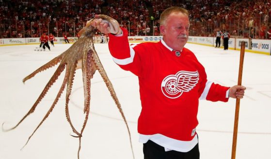 Al Sobotka, building operations manager for Olympia Entertainment, collects an octopus during a timeout at the last NHL game at Joe Louis Arena in Detroit between the New Jersey Devils and Detroit Red Wings on April 9, 2017.