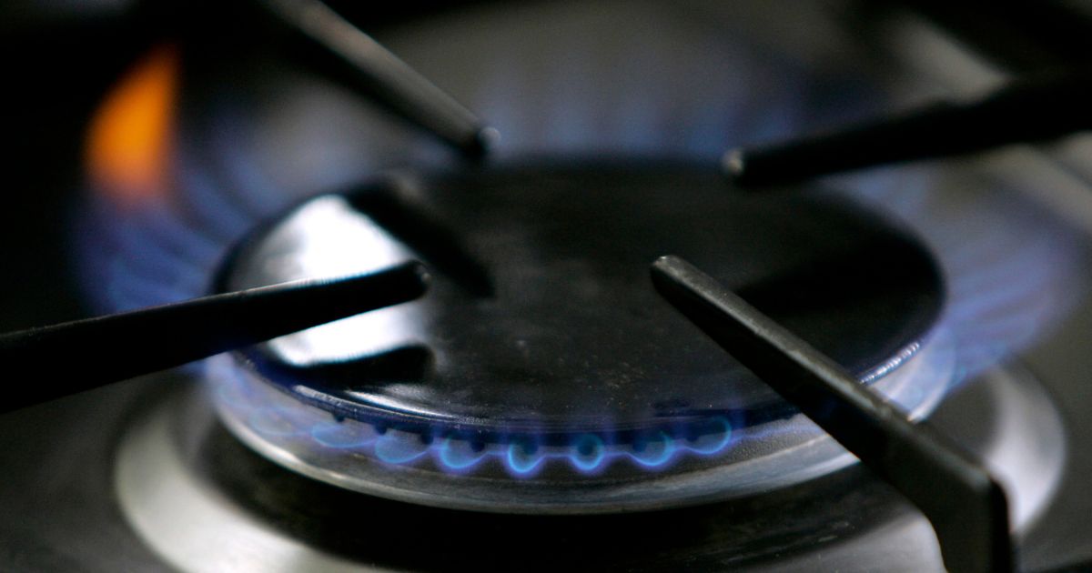a gas-lit flame burning on a natural gas stove