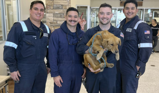 This image released by the U.S. Coast Guard, shows Connie the container dog, Wednesday with the four marine inspectors from the U.S. Coast Guard Sector Houston-Galveston who rescued her.